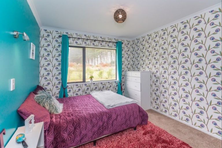 Photo of property in 127 Palmer Road, Foxton Beach, Foxton, 4891