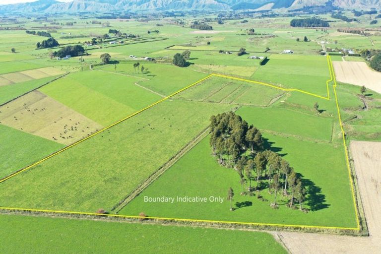 Photo of property in 217 Paiaka Road, Koputaroa, Levin, 5575