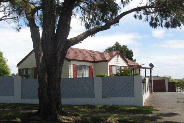 Photo of property in 67 Finlayson Avenue, Clendon Park, Auckland, 2103