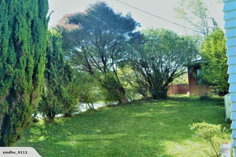 Photo of property in 44 Hutchinson Avenue, New Lynn, Auckland, 0600