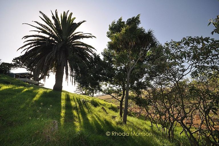 Photo of property in 32 Sandy Beach Road, Tinopai, 0593