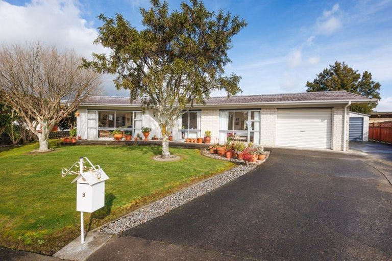 Photo of property in 3 Dalzien Place, Feilding, 4702