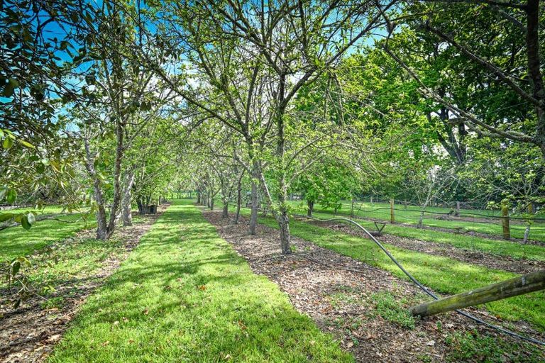 Photo of property in 72 Raupare Road, Twyford, Hastings, 4175