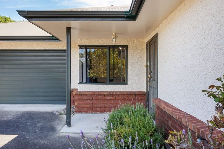 Photo of property in 12 Franklin Avenue, Hokowhitu, Palmerston North, 4410