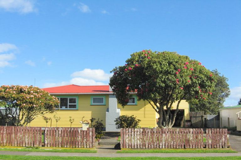 Photo of property in 12 Cargill Street, Levin, 5510