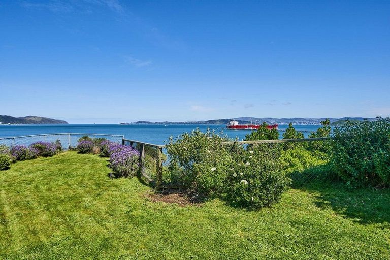 Photo of property in 121 Marine Drive, Sorrento Bay, Lower Hutt, 5013