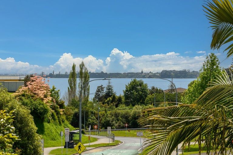 Photo of property in 6 Hairini Street, Hairini, Tauranga, 3112