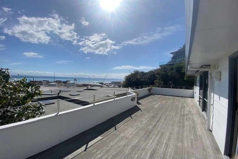 Photo of property in 14 Hornsey Road, Bluff Hill, Napier, 4110