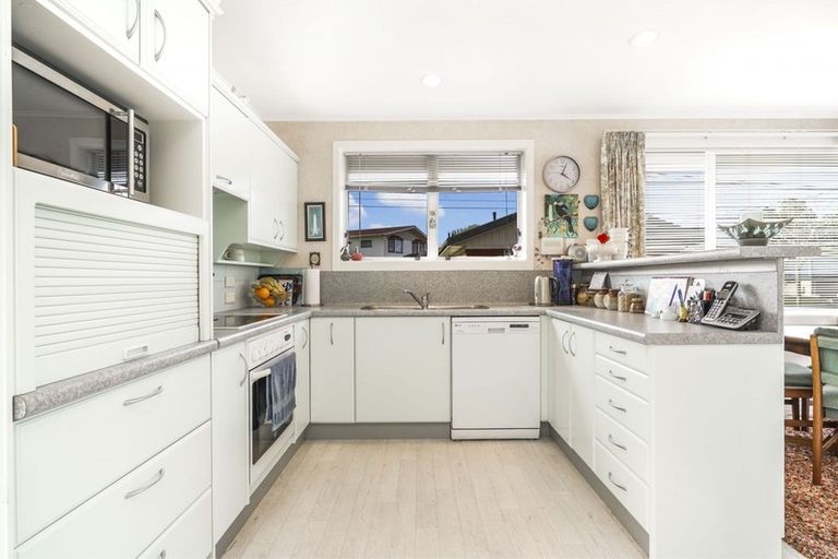 Photo of property in 101 Lewis Street, Glenview, Hamilton, 3206