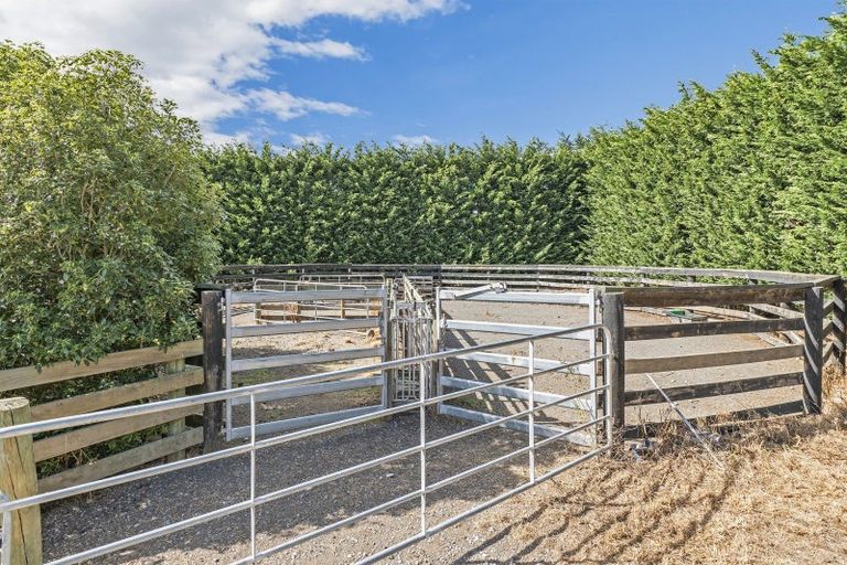 Photo of property in 391 Sharlands Road, Dunsandel, Rakaia, 7783