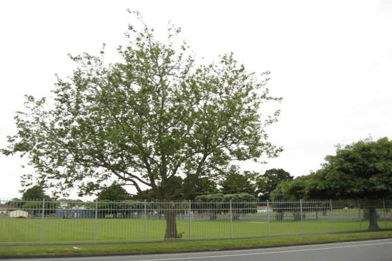 Photo of property in 32 Queen Street, Pukekohe, 2120