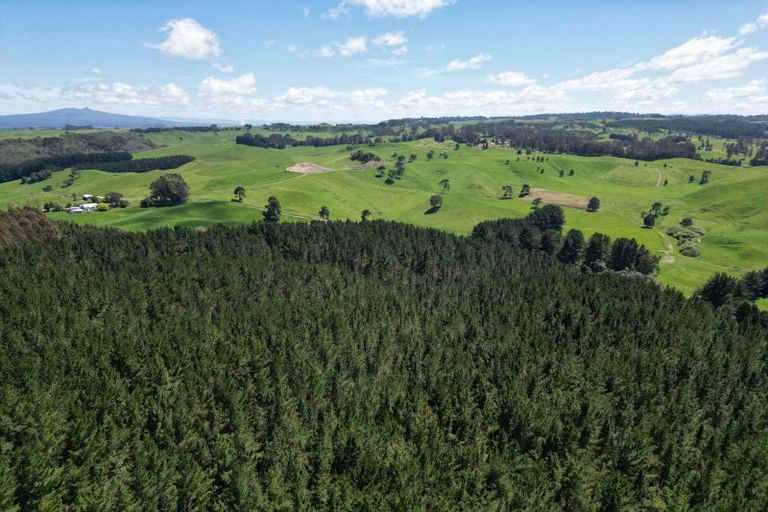 Photo of property in 1401 Whangamata Road, Marotiri, Taupo, 3377