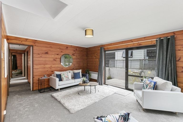 Photo of property in 22 Akatea Street, Berhampore, Wellington, 6023