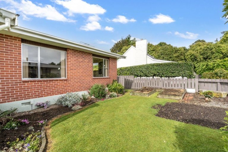 Photo of property in 36 Hillary Street, Winton, 9720