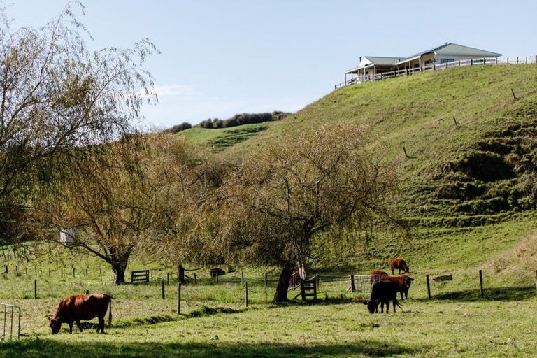 Photo of property in 113c Downard Road, White Pine Bush, Whakatane, 3191