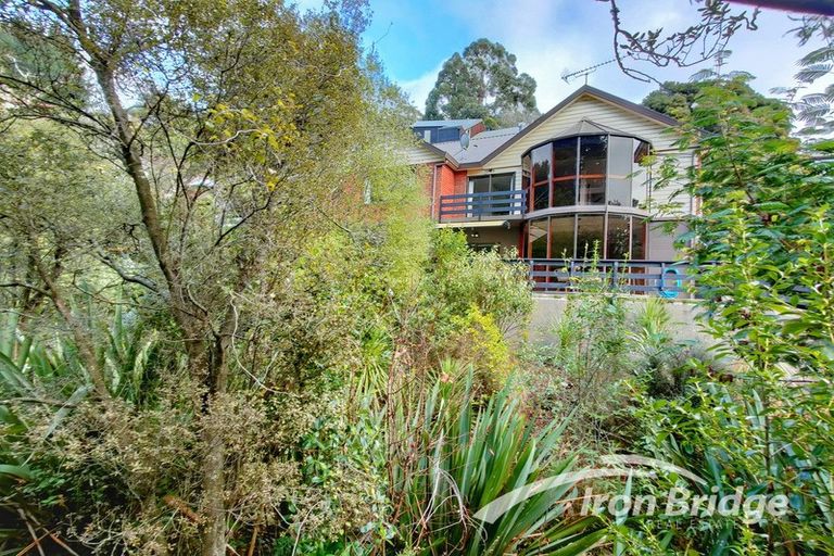 Photo of property in 53 Holliss Avenue, Cashmere, Christchurch, 8022