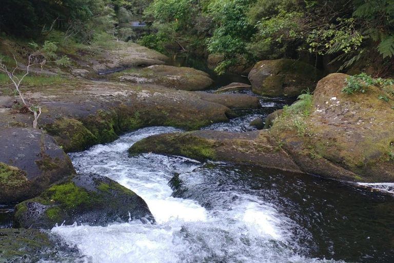 Photo of property in 210 Wainui Road South, Whakamarama, Katikati, 3181