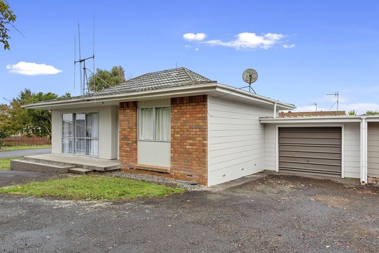 Photo of property in 50a Alison Street, Hamilton Lake, Hamilton, 3204
