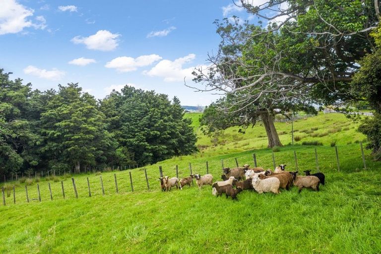 Photo of property in 1065 Snooks Road, Maungakaramea, Whangarei, 0178