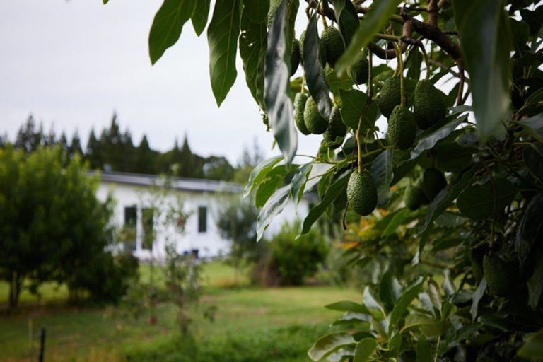 Photo of property in 150 Cemetery Road, Maunu, Whangarei, 0179