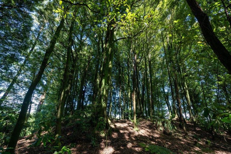 Photo of property in 1259b State Highway 5, Hamurana, Rotorua, 3072