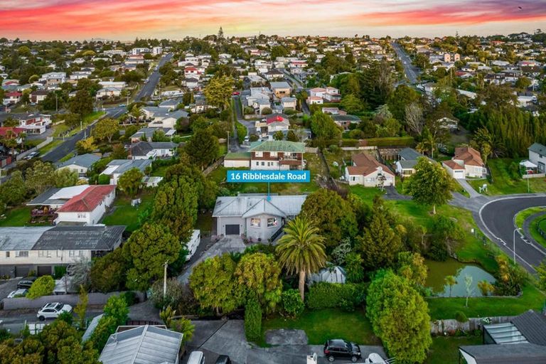 Photo of property in 16 Ribblesdale Road, Henderson, Auckland, 0612
