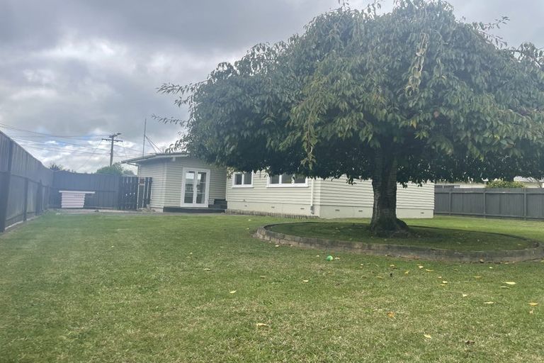 Photo of property in 41 Fitzroy Avenue, Fitzroy, Hamilton, 3206