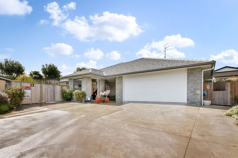 Photo of property in 12 Riverside Place, Katikati, 3129