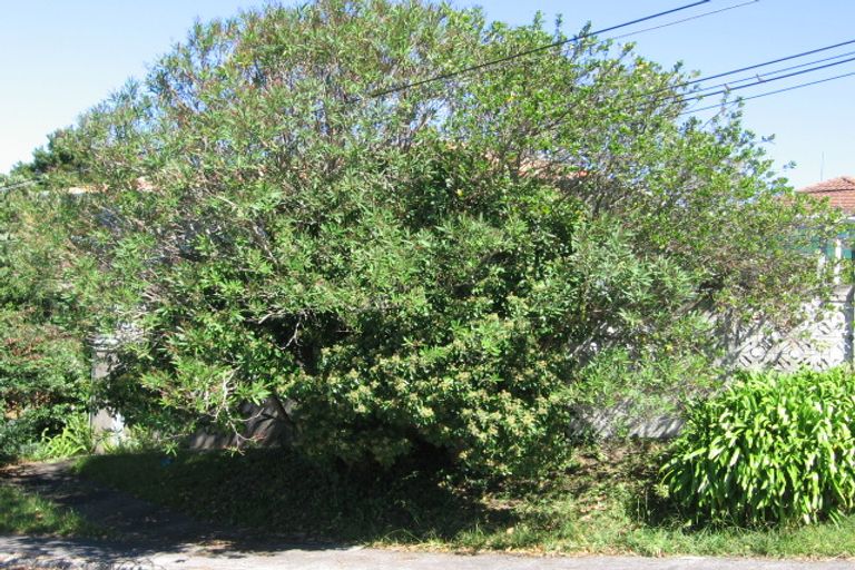 Photo of property in 50 Arran Road, Browns Bay, Auckland, 0630