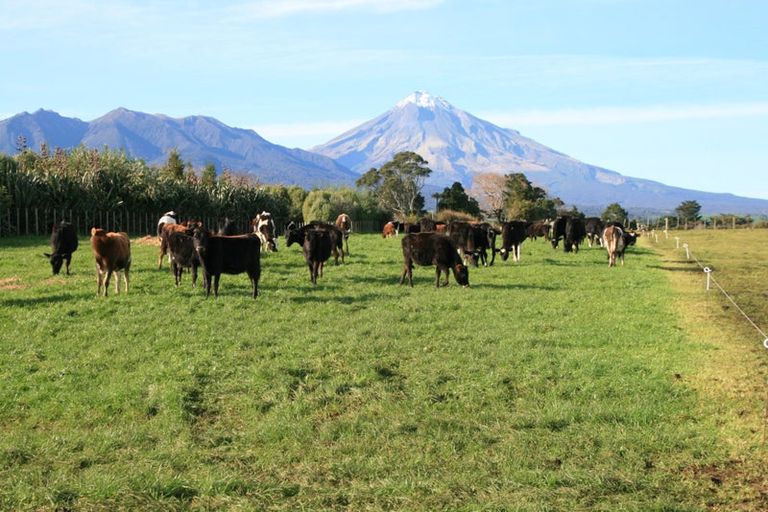 Photo of property in 192 Dover Road, Okato, New Plymouth, 4374