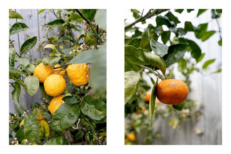 Photo of property in 3 Ibis Way, Welcome Bay, Tauranga, 3112