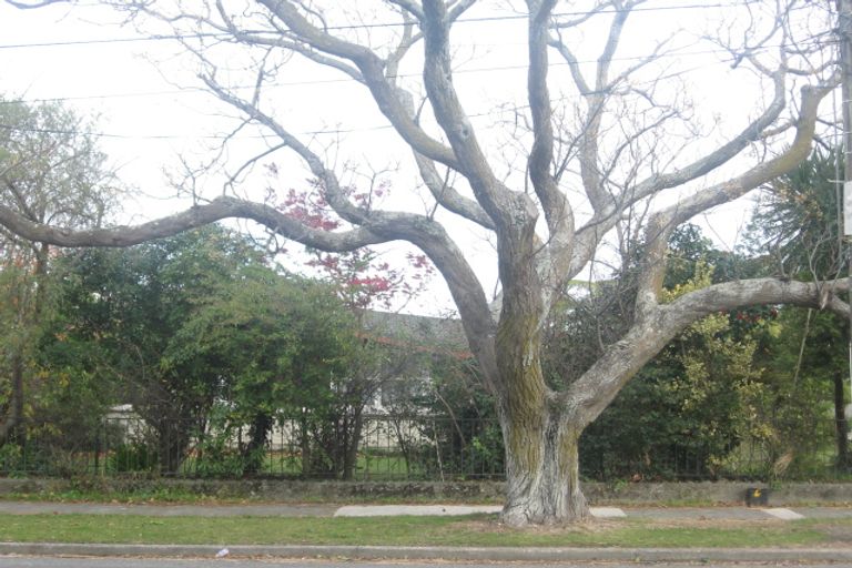 Photo of property in 19 Geddis Avenue, Maraenui, Napier, 4110