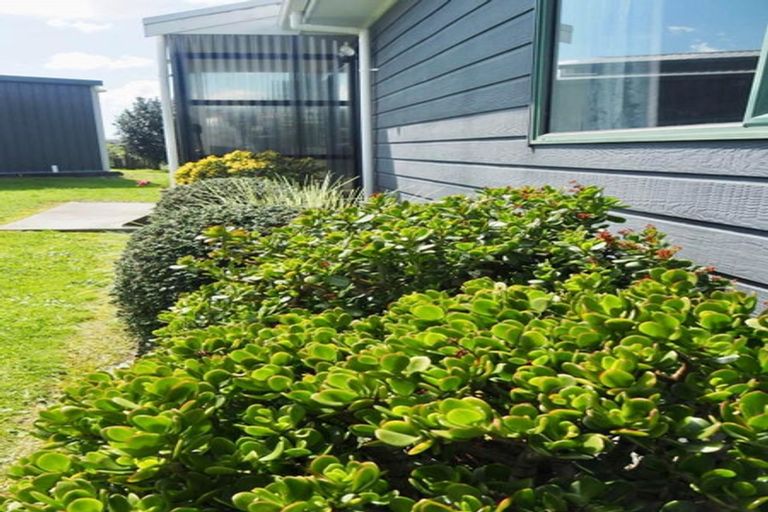 Photo of property in 117 Pukemapu Road, Oropi, Tauranga, 3173