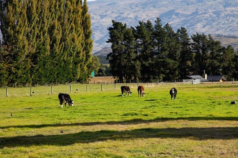 Photo of property in 598 Dunstan Road, Alexandra, 9391