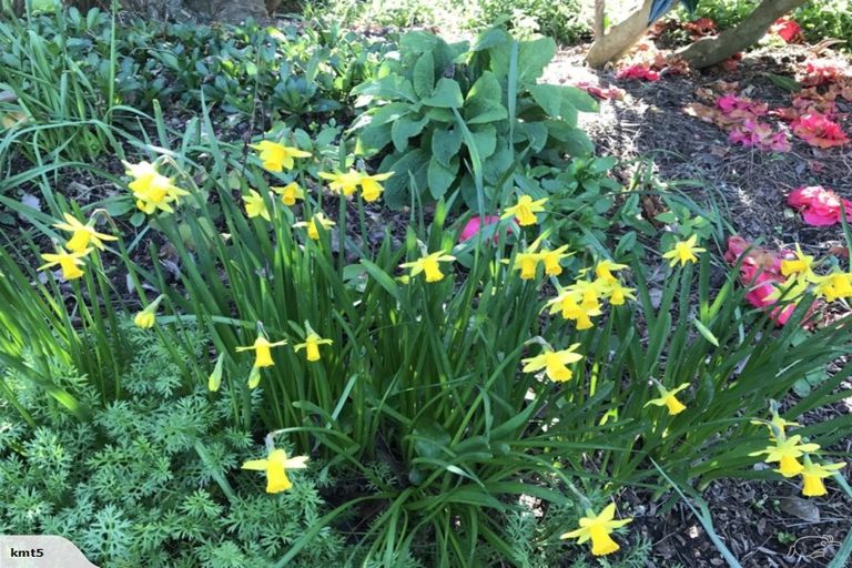 Photo of property in 10 Boltons Road, Lansdowne, Masterton, 5810