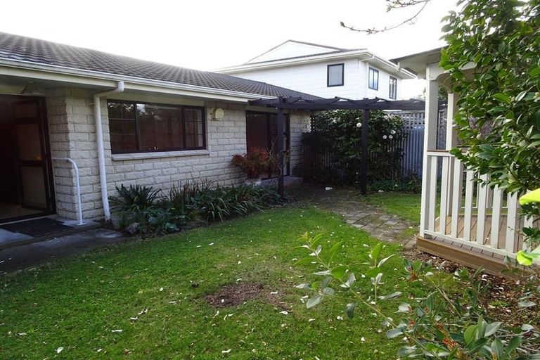 Photo of property in 55b Middle Road, Havelock North, 4130