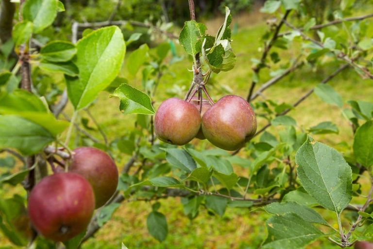 Photo of property in 91 Katherine Mansfield Drive, Whitemans Valley, Upper Hutt, 5371