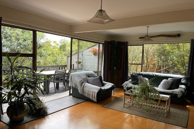 Photo of property in 115 Stredwick Drive, Torbay, Auckland, 0630