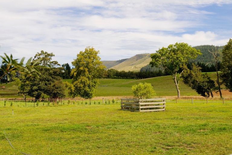 Photo of property in 310 Mill Road, Waimate, 7978
