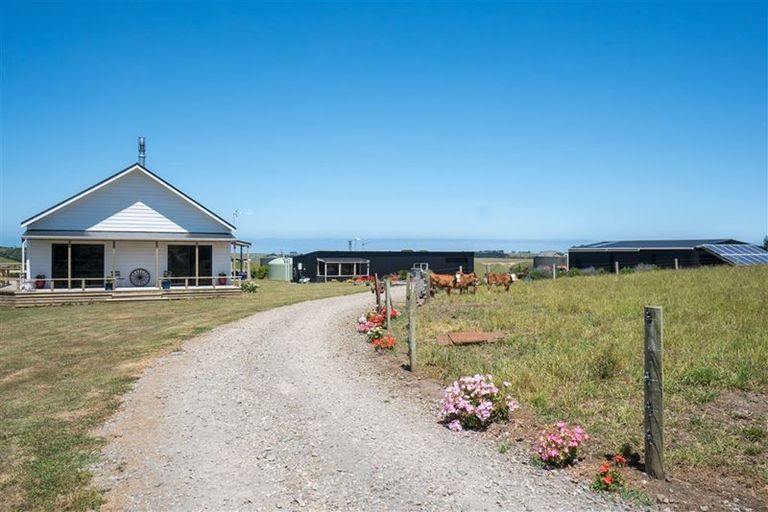 Photo of property in 172 Whakamara Road, Manutahi, Hawera, 4672