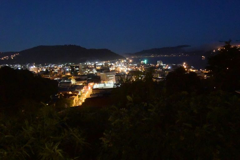 Photo of property in 59 Sutherland Street, Dunedin Central, Dunedin, 9016