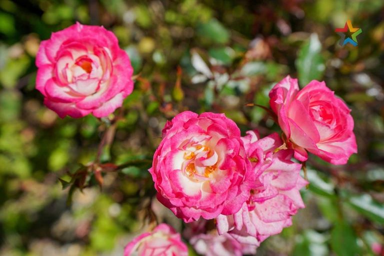 Photo of property in 114 Earn Street, Appleby, Invercargill, 9812