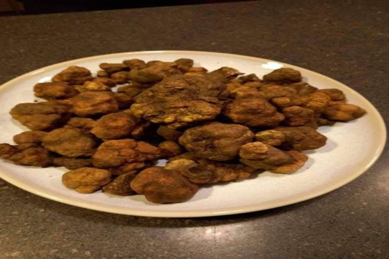 Photo of property in 118 Lachlan Avenue, Hawea Flat, Wanaka, 9382