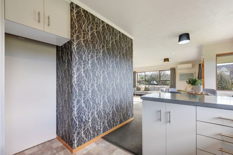 Photo of property in 3 Ledger Close, Richmond, 7020