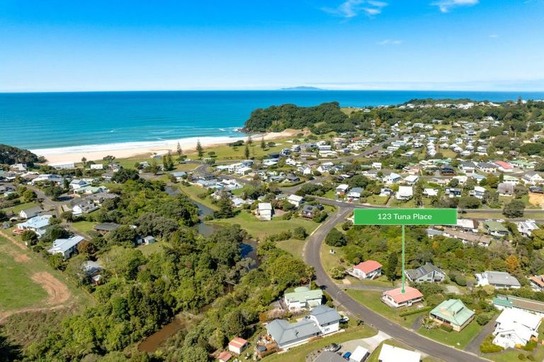 Photo of property in 123 Tuna Place, Onemana, Whangamata, 3691