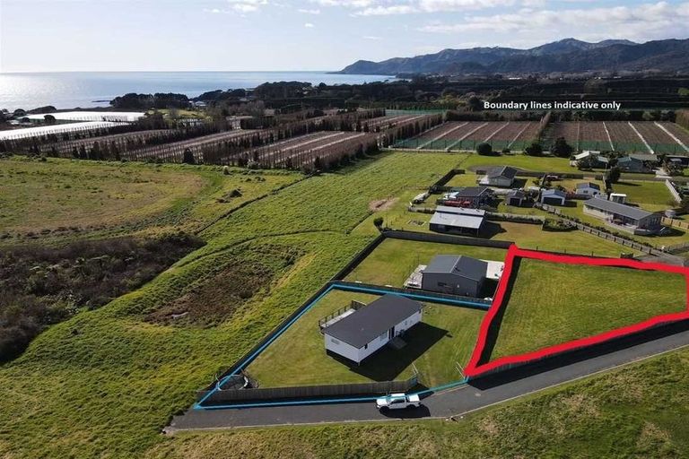 Photo of property in 22 Rawinia Place, Te Kaha, 3199