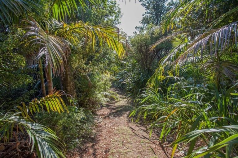Photo of property in 160 Pumpkin Hill Road, Pumpkin Hill, Whitianga, 3591