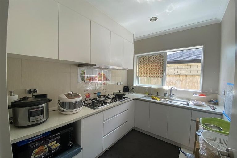 Photo of property in 51 Hughs Way, Flat Bush, Auckland, 2019