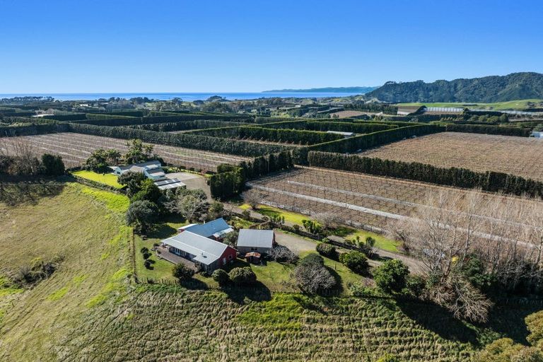 Photo of property in 306 Tablelands Road, Tirohanga, Opotiki, 3197