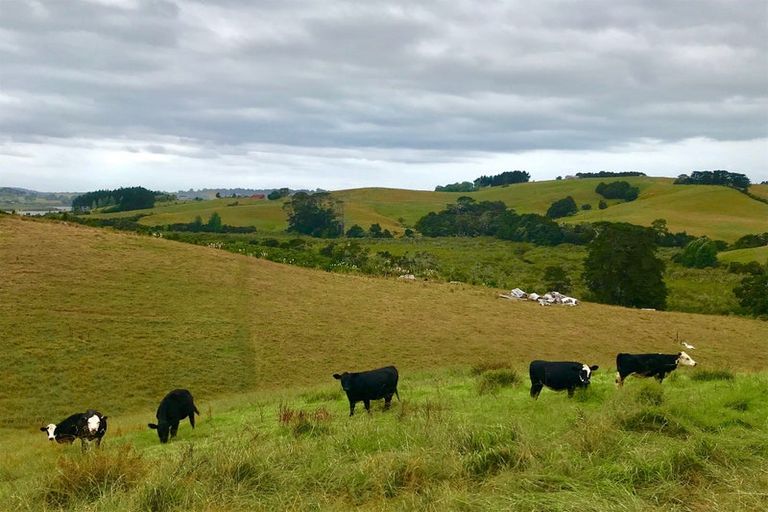 Photo of property in 321 Hepburn Creek Road, Warkworth, 0981